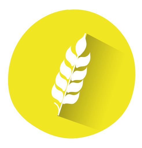 Alérgeno gluten